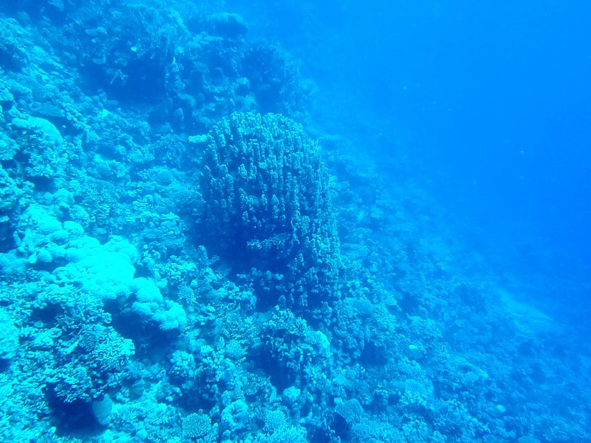 Deep Ocean Blue Diving Center, Ägypten, El Quseir bis Port Ghalib