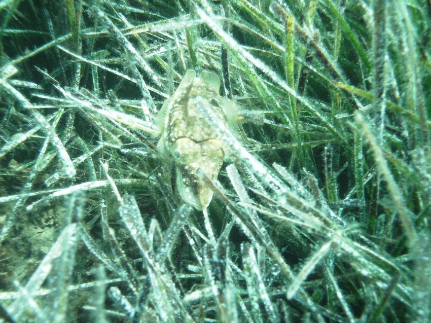 Halkidiki - Athos, Halkidiki - Athos,Griechenland