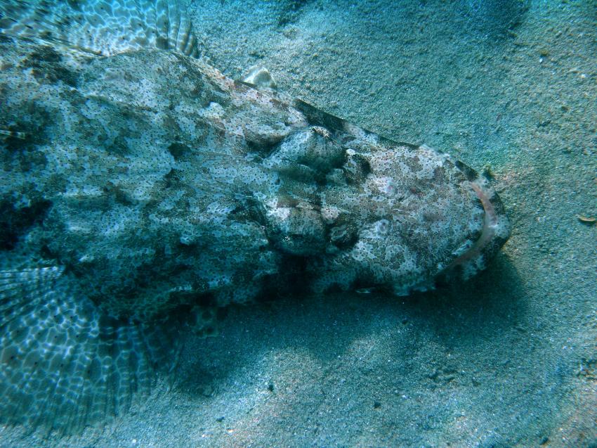 Brayka Bay, Brayka Bay,Ägypten