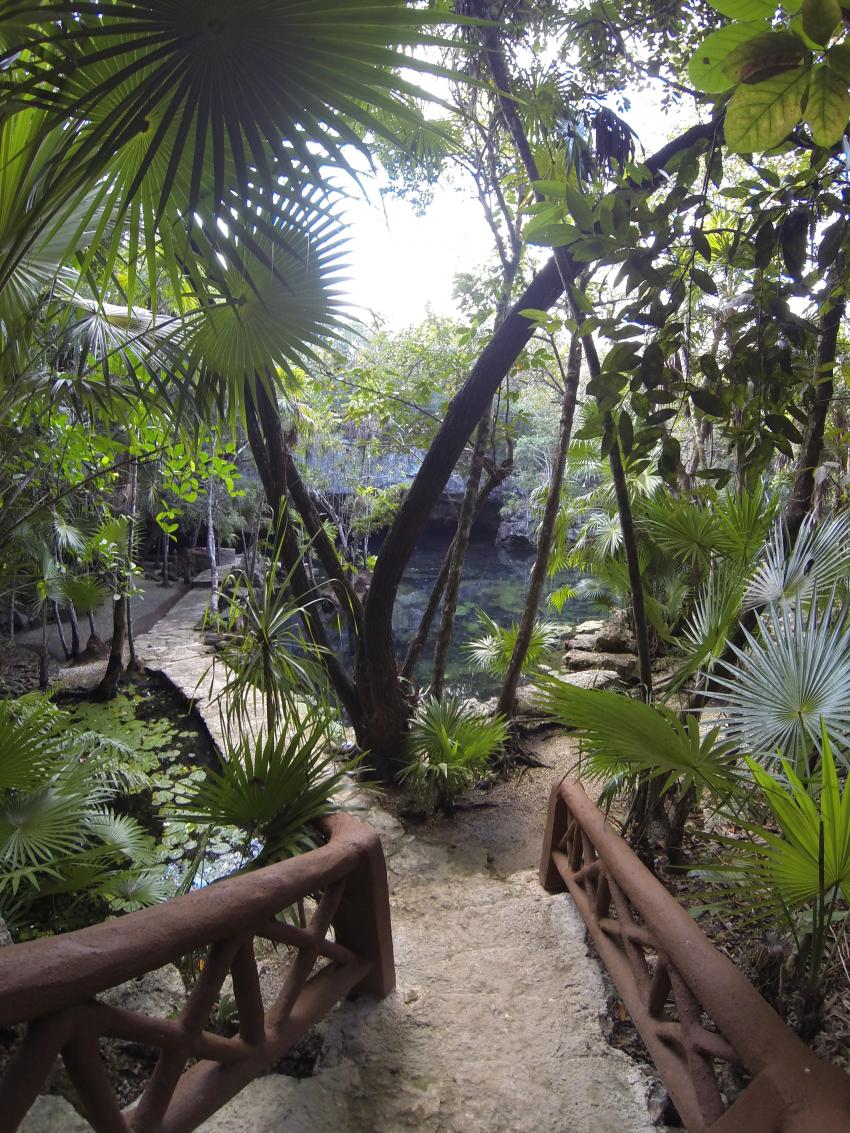Cenote Adventures, Playa del Carmen, Mexiko