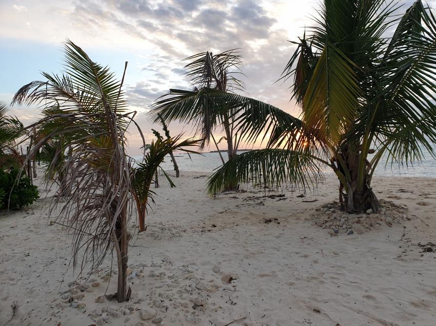 Shamar Divers Maamigili, Malediven