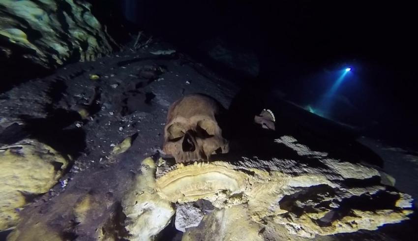 Exploration Day im Cave, Scull, cave, cenote, Mexico, Mexiko, Höhle, Cenote-Diving.Com