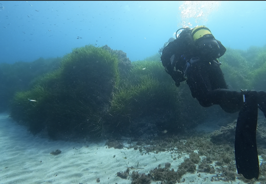 Lijo-sub, Isleta del Moro , Spanien, Spanien - Festland