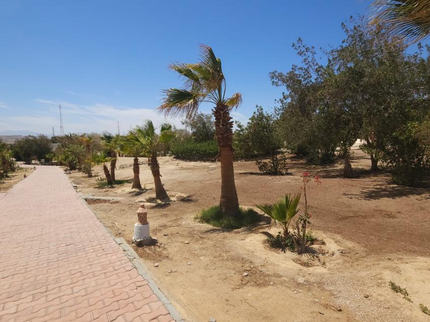 Mangrove Bay Resort, Ägypten, El Quseir bis Port Ghalib