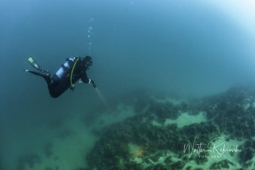 DIVING CRES , Diving Cres, Insel Cres, Kroatien