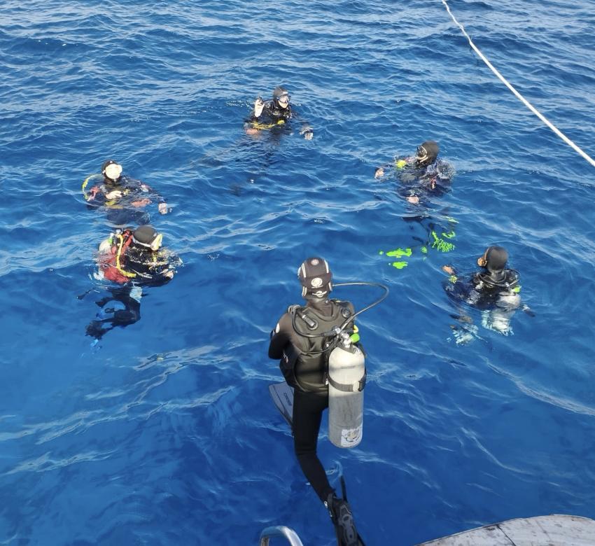 Tauchurlaub bei unserer Tauchbasis Volkert Dive Center - jetzt buchen unter www.volkert-touristik.de, Tauchen Ägypten Volkert Touristik Tauchreisen Tauchurlaub, Volkert Touristik, Ägypten