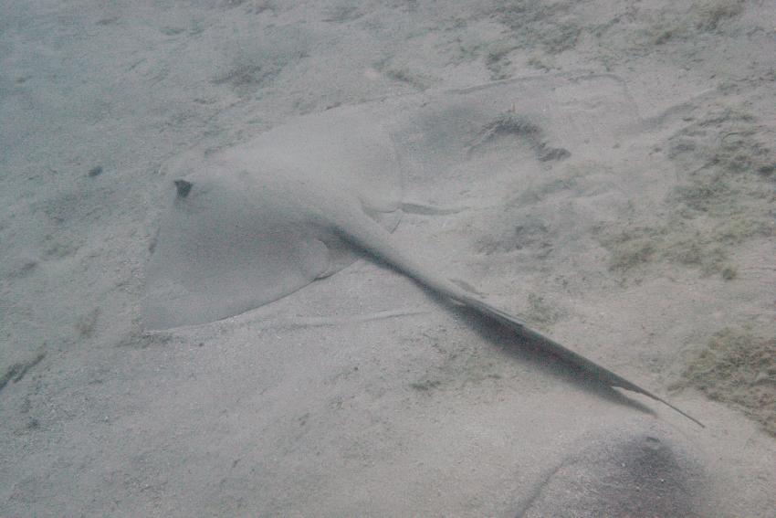 Big Blue Mashraba, Dahab, Ägypten, Sinai-Nord ab Dahab