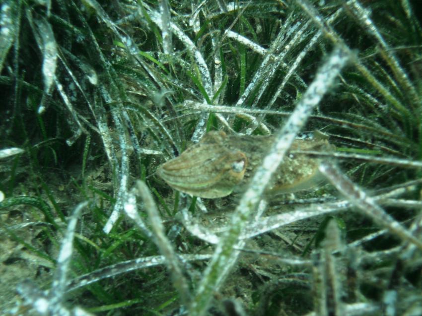 Halkidiki - Athos, Halkidiki - Athos,Griechenland