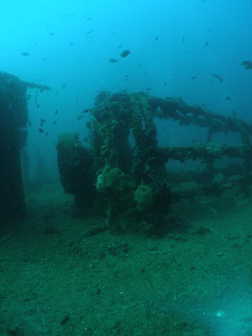 Wrack Coriolanus, HMS Coriolanus,Novigrad,Kroatien