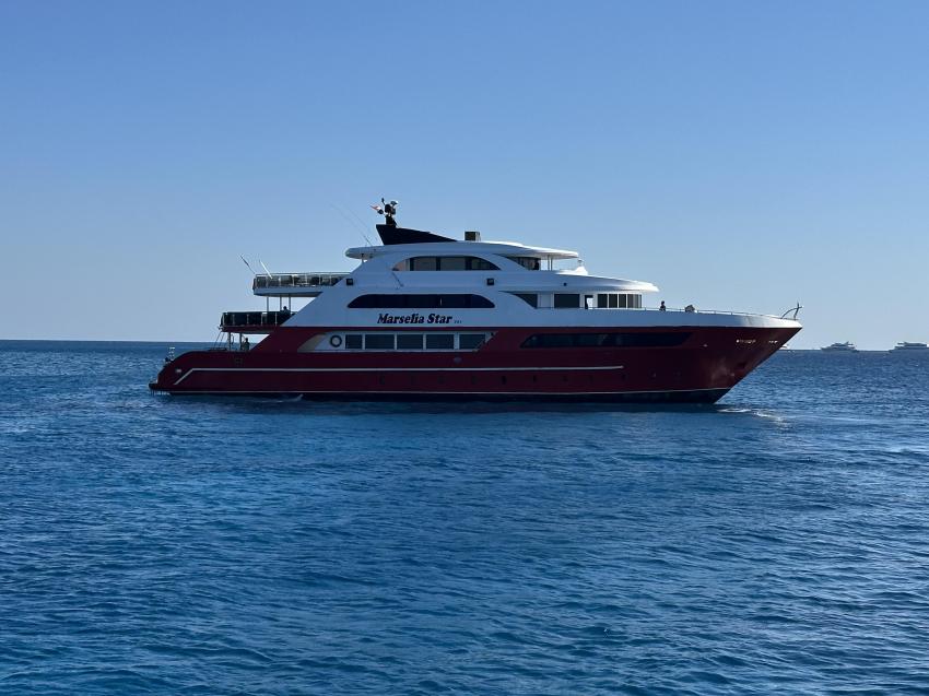 MV Marselia Star, Ägypten