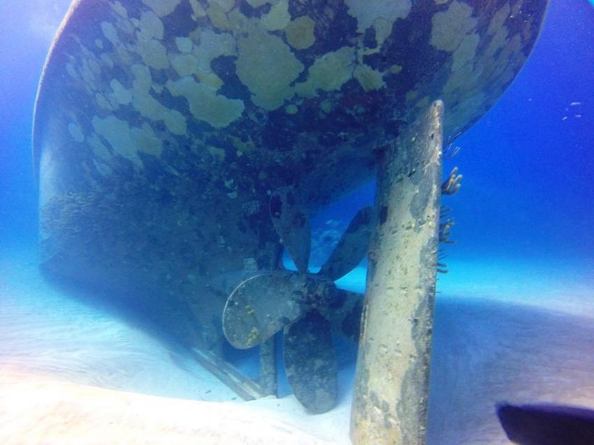 Bermuda Scuba Diving, Bermuda Tauchplätze, Bermuda