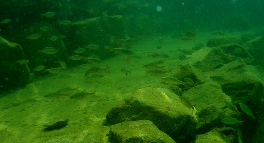 Ibbenbüren, Ibbenbüren,Unterwasserpark,Nordrhein-Westfalen,Deutschland