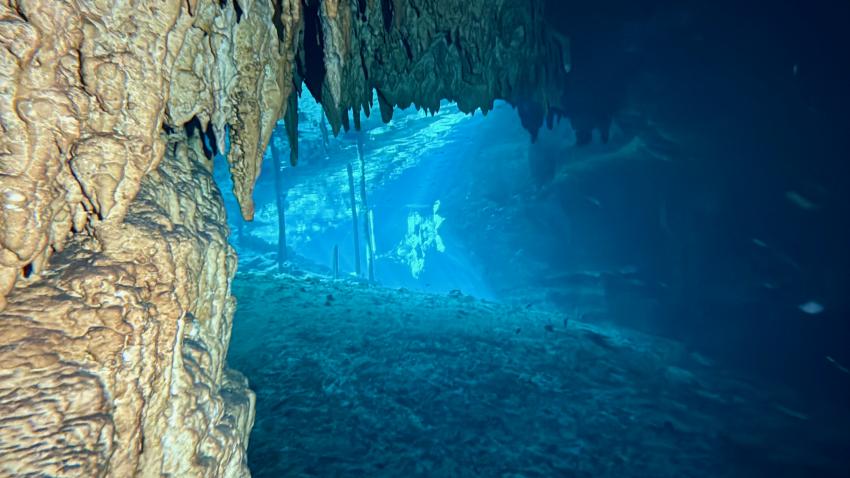 Yucatek Divers, Playa del Carmen, Mexiko