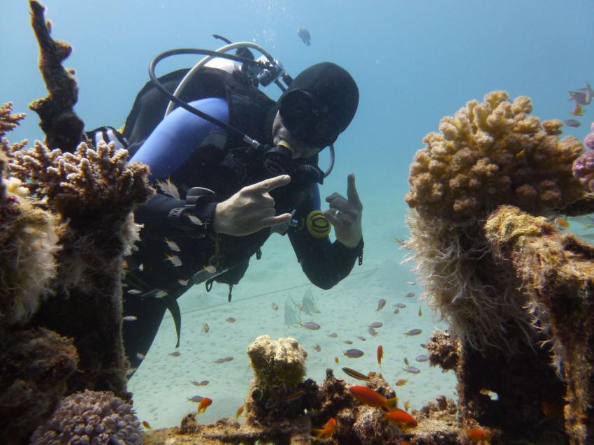 Scuba World Divers Makadi Bay , Ägypten, Hurghada