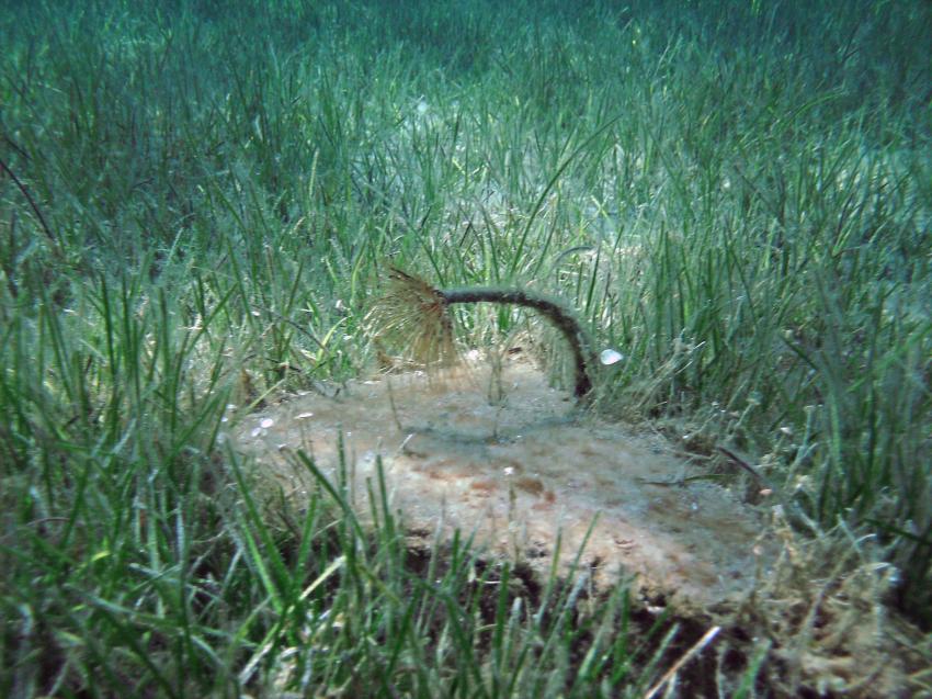 Halkidiki - Athos, Halkidiki - Athos,Griechenland