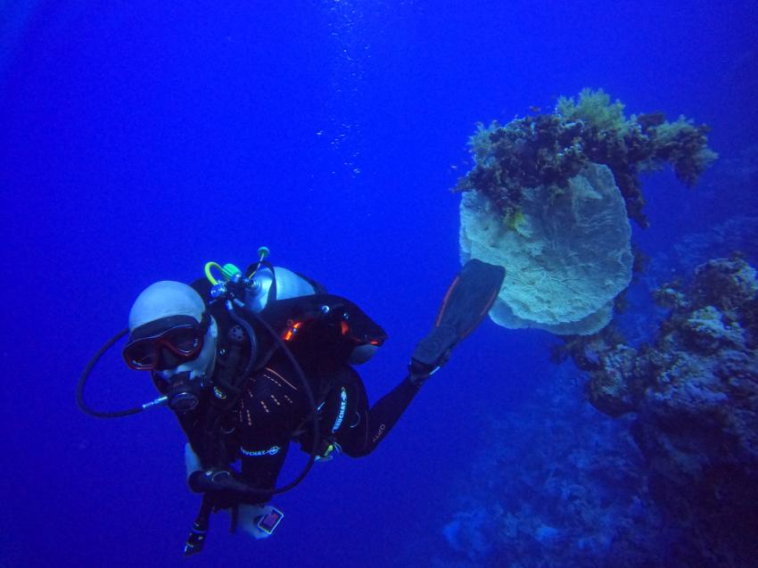 Sunshine-Divers Mary&Klaus, Sharm El Sheikh, Ägypten, Sinai-Süd bis Nabq
