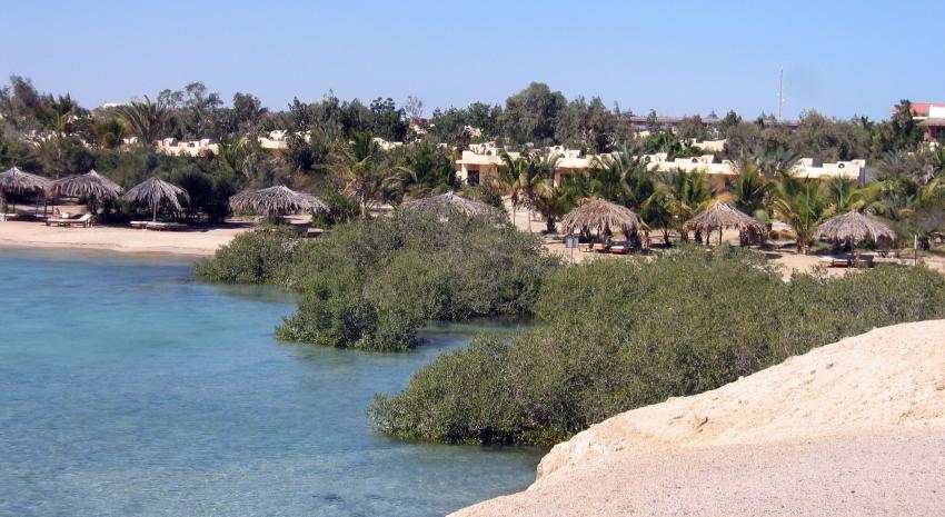 Mangrove Bay Resort, Ägypten