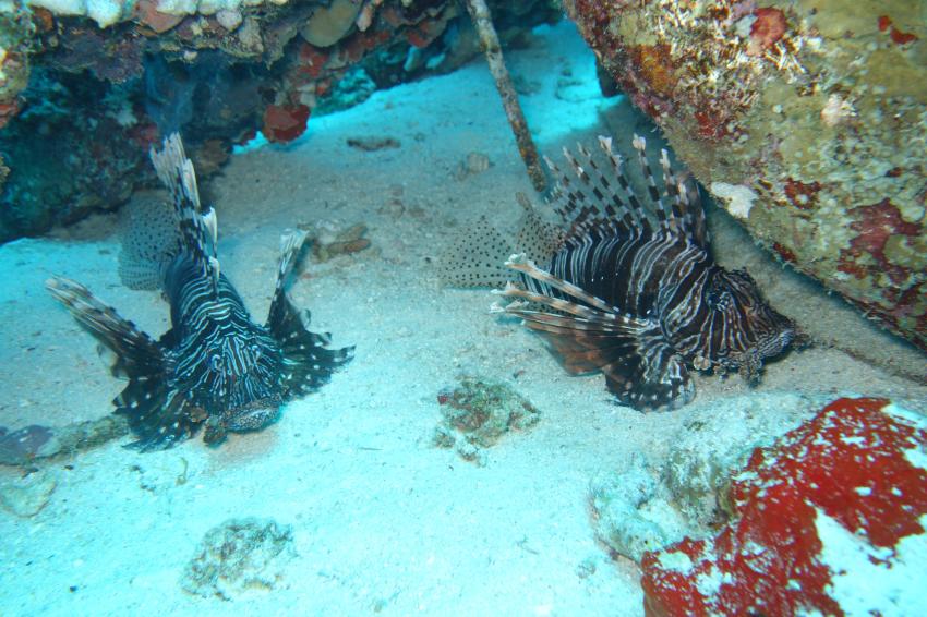 Jeddah, Bhadur Ressort, North Obur, Jeddah Bahadur Beach,Saudi-Arabien