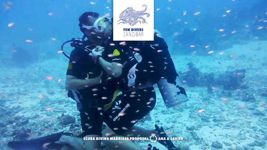 Underwater engagement at Mnemba Atoll, Nungwi – A scuba diving marriage proposal in Zanzibar, #lifelongmemories #marriageproposal #underwaterengagement #mnembaatoll #nungwi #zanzibar #zanzibarisland #tanzania #eastafrica #indianocean #oceanlove #fundiverszanzibar #local #padi #diveresort #scubadiving #scuba #diving #snorkeling #padicourses, Fun Di