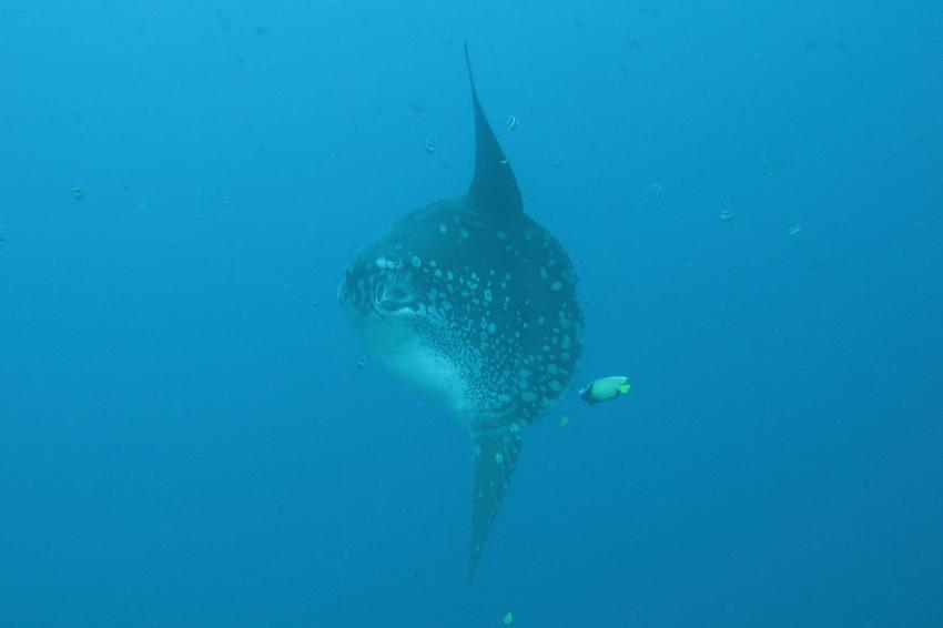 Bali Padang Bai, Padang Bai,Bali,Indonesien