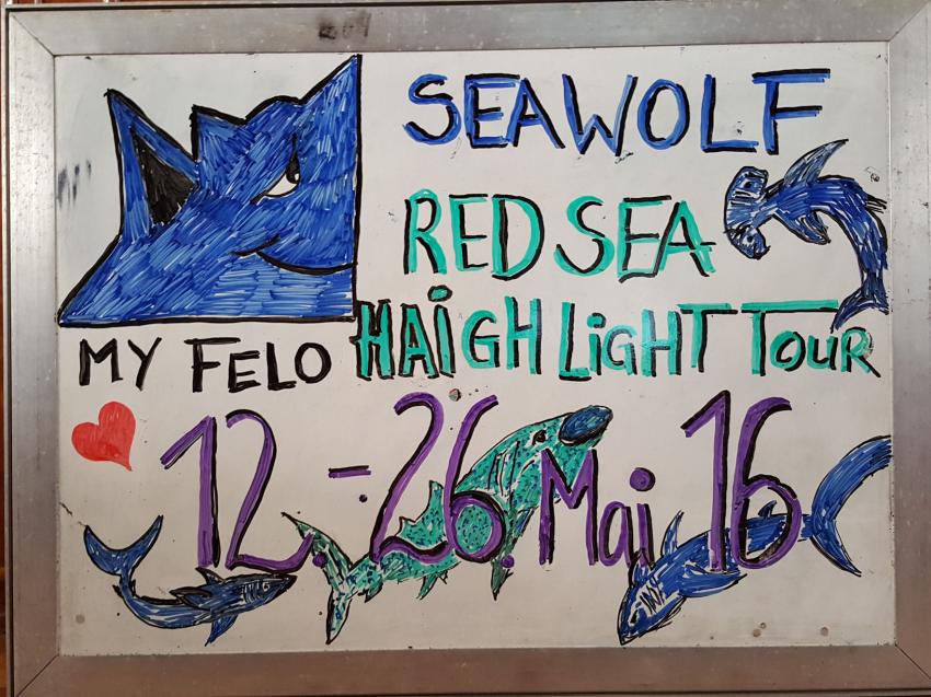 Was für eine Tour!, Seawolf Diving Safari Felo Highlight Tour, M/Y Seawolf Felo, Ägypten