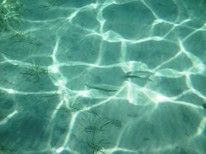 Halkidiki - Athos, Halkidiki - Athos,Griechenland