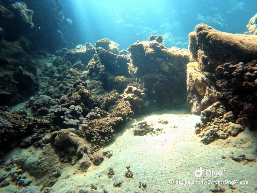 Extra Divers - Sentido Akassia Beach Resort & Calimera Akassia Swiss Resort, Ägypten, El Quseir bis Port Ghalib