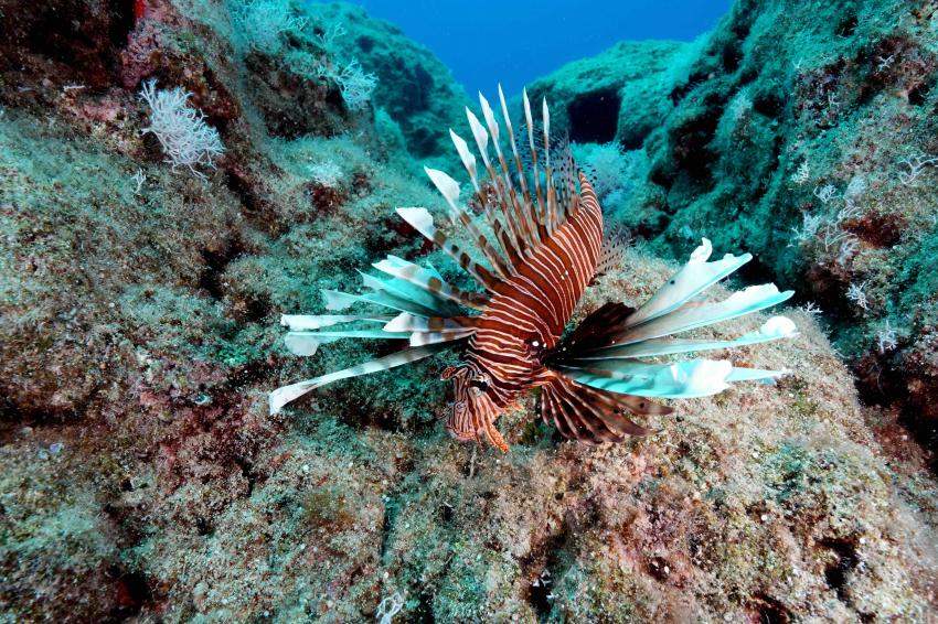 Kaş Diving, Türkei