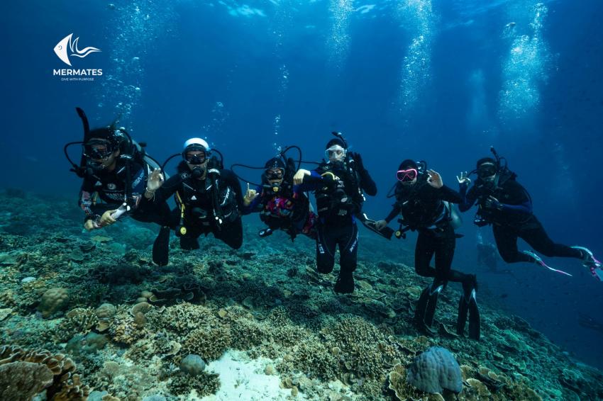 MALAYSIA DIVING TRIP, mermates.club, Saudi-Arabien