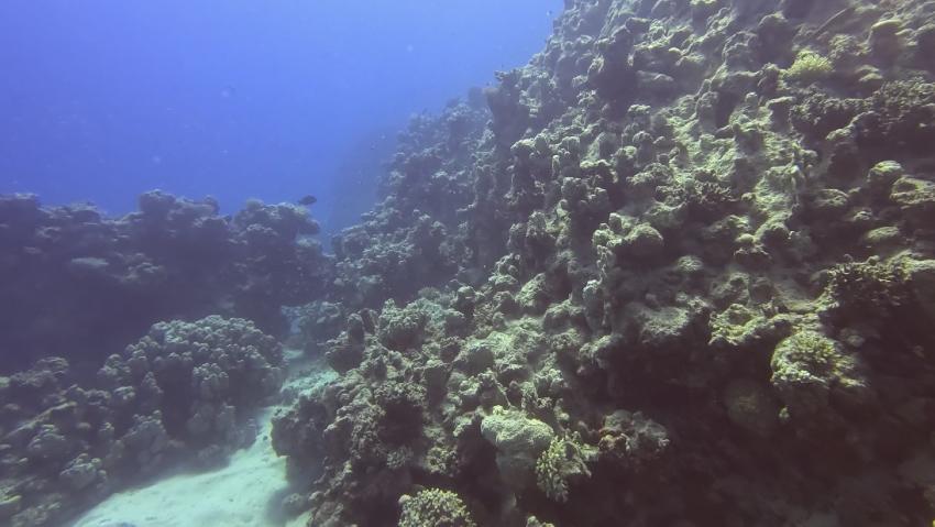 Marsa Shagra Ecolodge, Marsa Alam, Ägypten, Marsa Alam und südlich