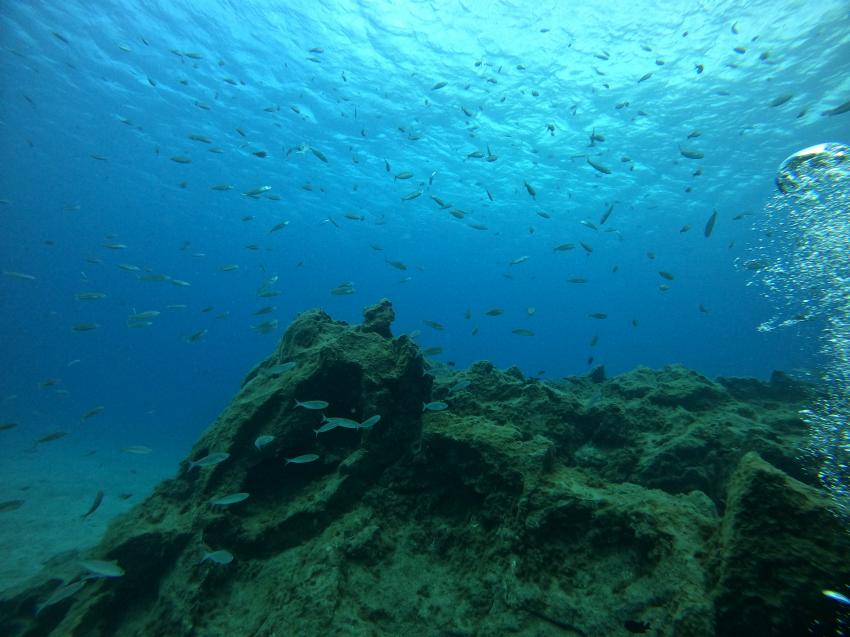 Zeus Dive Center Teneriffa, Spanien, Kanaren (Kanarische Inseln)