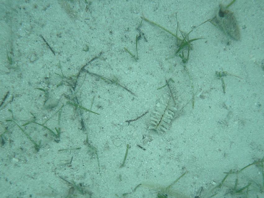 Halkidiki - Athos, Halkidiki - Athos,Griechenland