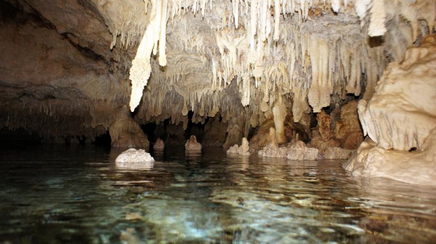 Höhlentauchen La Sirena, La Sirena Höhle Boca Chica,Dominikanische Republik