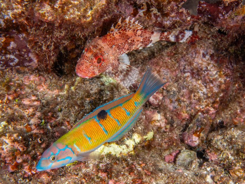 Water & Wind, Portugal, Azoren