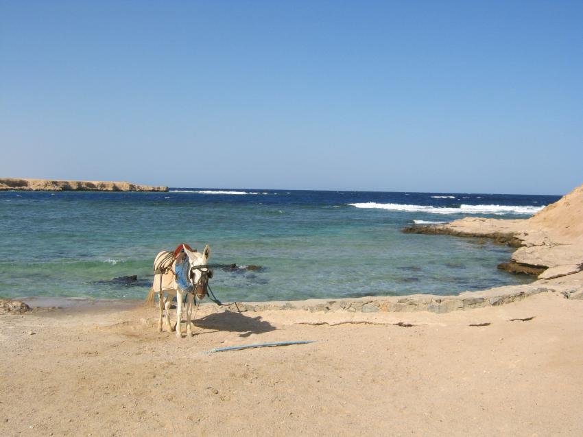 Weg zum Steg, Coraya Divers, Coraya Beach, Marsa Alam, Ägypten, Marsa Alam und südlich