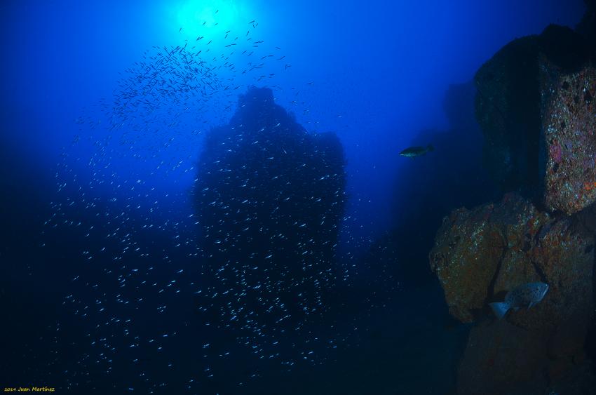 Torre de Malpique, Punkfish Diving La Palma, Spanien, Kanaren (Kanarische Inseln)