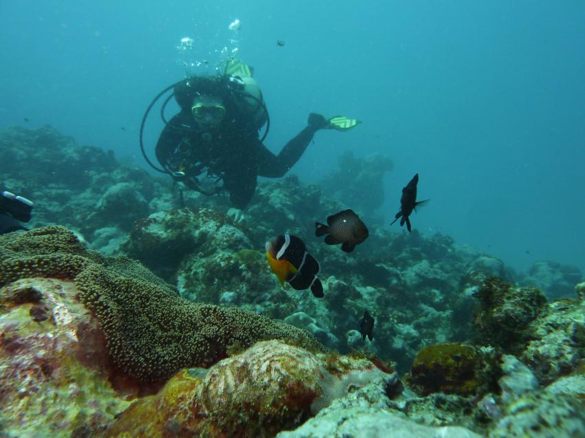 Maritim Crystals Diving Centre , Mauritius