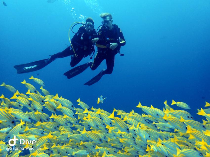 Shamar Divers Maamigili, Malediven