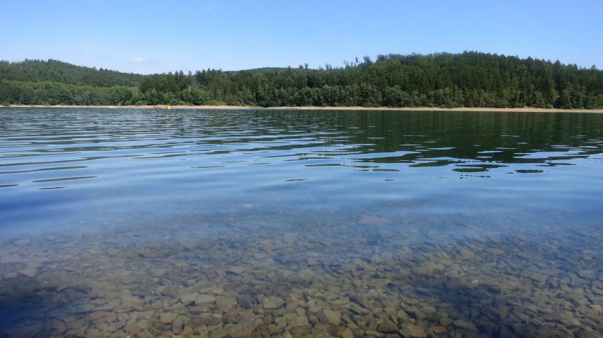 Sorpesee Juni 2015, Sorpesee,Nordrhein-Westfalen,Deutschland