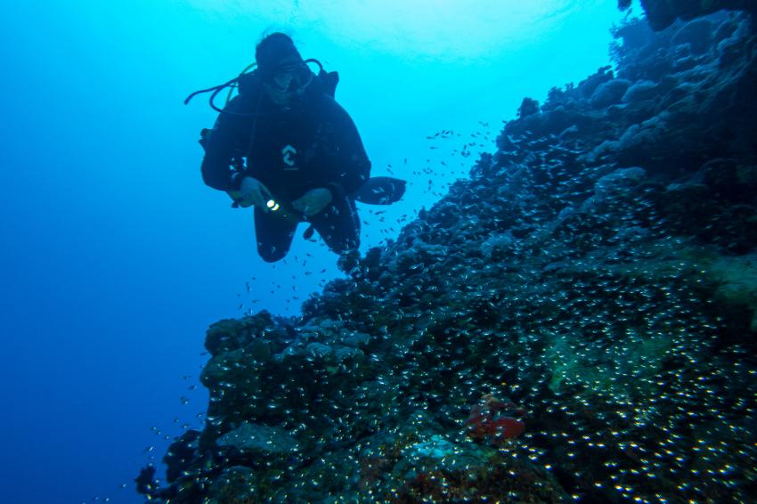 diving.DE Quseir, Ägypten, El Quseir bis Port Ghalib