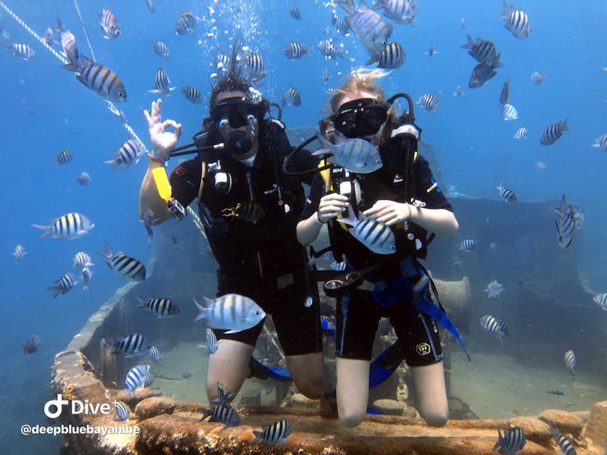 Deep Blue Bayahibe Diving, Deep Blue Bayahibe Diving, Dominikanische Republik