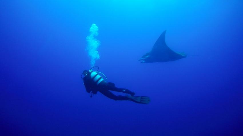 Wahoo Diving, Santa Maria, Azoren, Portugal, Azoren