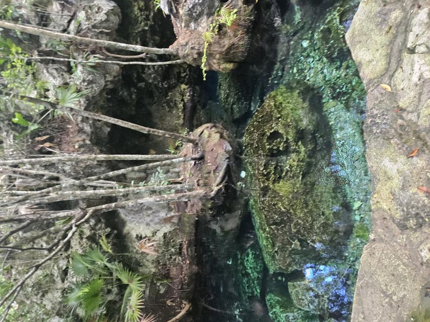 Yucatek Divers, Playa del Carmen, Mexiko