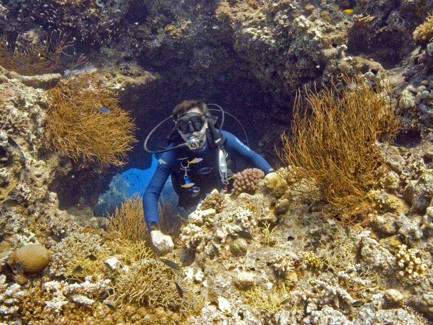 rund um Hurgada, Hurghada - allgemein,Ägypten,da bin ich auch mal rund um Hurgada, Hurghada - allgemein,Ägypten,da bin ich auch mal