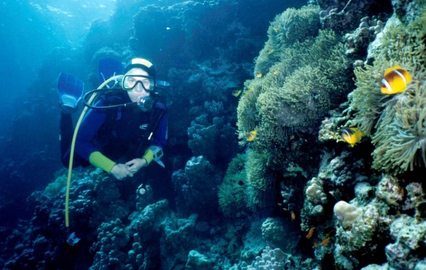 Safaga, Safaga - allgemein,Ägypten