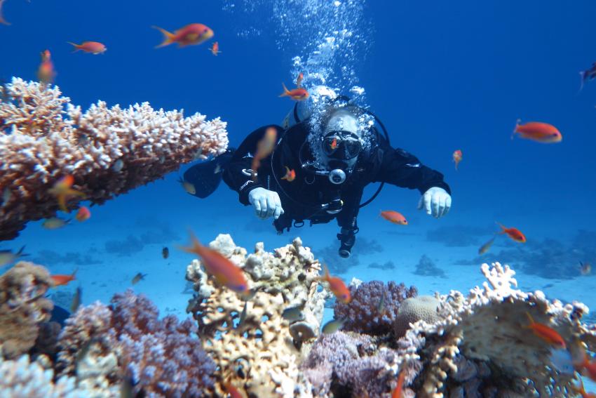 Scuba World Divers Makadi Bay_7, Tauchen Ägypten Makadi Bay, Scuba World Divers Makadi Bay, Ägypten, Hurghada