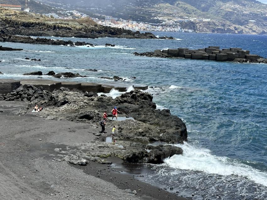 Hausbucht, Dive Community La Palma Diving, La Palma, Kanaren, Spanien, Kanaren (Kanarische Inseln)