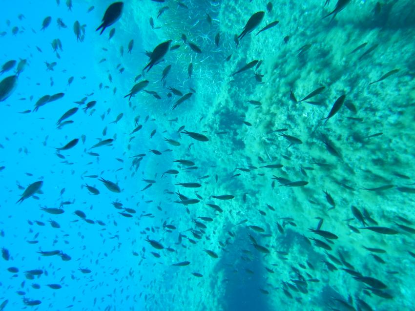 Ocean Blue Diving, Kala e Moru, Geremeas (Sardinien), Italien, Sardinien