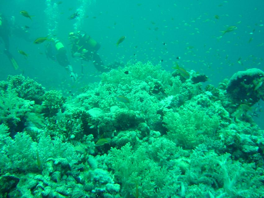 Safaga, Safaga - allgemein,Ägypten