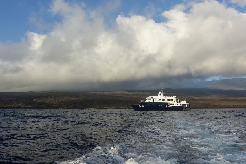 die "Deep Blue" vor Isabela , M/V Galapagos Master, Ecuador, Galapagos